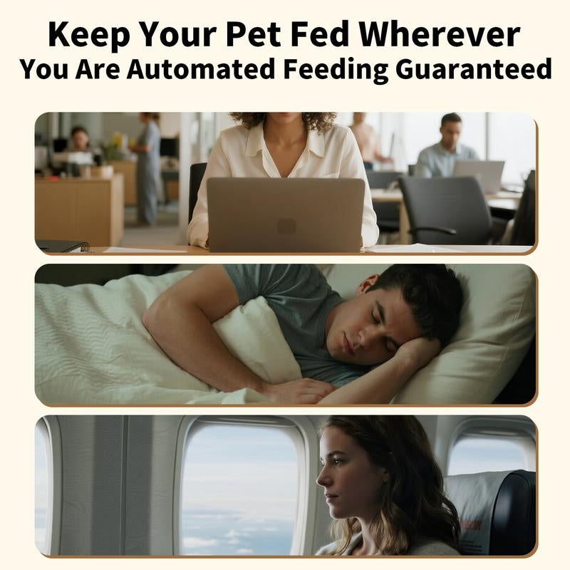 Quiet Care Feeder — Smart 4L Automatic Feeding for Thoughtful Pets
